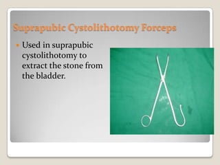 Suprapubic Cystolithotomy ForcepsUsed in suprapubic cystolithotomy to extract the stone from the bladder.