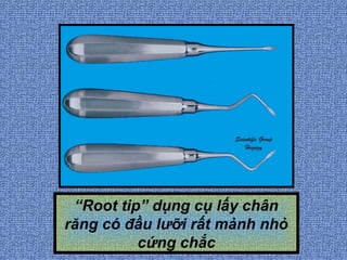Retained Root Tip Instrument Surgical instruments | PPT