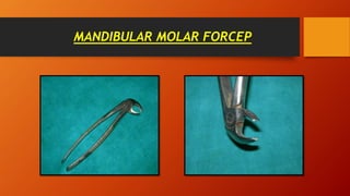 MANDIBULAR MOLAR FORCEP
 