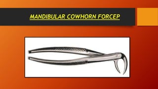 MANDIBULAR COWHORN FORCEP
 