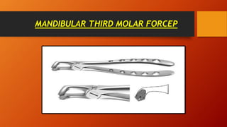 MANDIBULAR THIRD MOLAR FORCEP
 