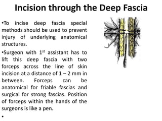 Deep Incision Cut Comprehensive Overview of Surgical Instruments and Incision Techniques ...