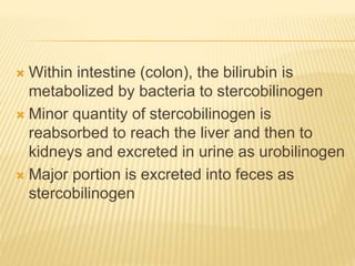  Within intestine (colon), the bilirubin is
metabolized by bacteria to stercobilinogen
 Minor quantity of stercobilinogen is
reabsorbed to reach the liver and then to
kidneys and excreted in urine as urobilinogen
 Major portion is excreted into feces as
stercobilinogen
 