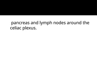 pancreas and lymph nodes around the
celiac plexus.
 