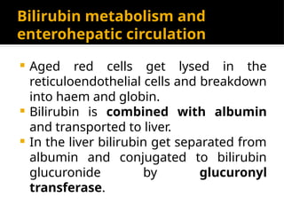 Bilirubin metabolism and
enterohepatic circulation
 Aged red cells get lysed in the
reticuloendothelial cells and breakdown
into haem and globin.
 Bilirubin is combined with albumin
and transported to liver.
 In the liver bilirubin get separated from
albumin and conjugated to bilirubin
glucuronide by glucuronyl
transferase.
 