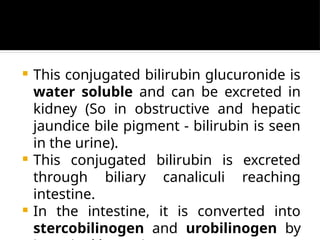  This conjugated bilirubin glucuronide is
water soluble and can be excreted in
kidney (So in obstructive and hepatic
jaundice bile pigment - bilirubin is seen
in the urine).
 This conjugated bilirubin is excreted
through biliary canaliculi reaching
intestine.
 In the intestine, it is converted into
stercobilinogen and urobilinogen by
 