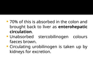  70% of this is absorbed in the colon and
brought back to liver as enterohepatic
circulation.
 Unabsorbed stercobilinogen colours
faeces brown.
 Circulating urobilinogen is taken up by
kidneys for excretion.
 