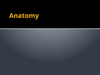 Anatomy
 