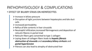PATHOPHYSIOLOGY & COMPLICATIONS
• EFFECT OF BILIARY STASIS ON HEPATOCYTES
Increase in biliary pressure
Disruption of tight junctions between hepatocytes and bile duct
cells
increased permeability
Reflux of bile contents in liver sinusoids
Neutrophil infiltration,increased fibrinogenesis and deposition of
reticulin fiberes in portal triad
Reticulin fibers gets converted to type 1 collagen
Laying down of collagen fibers leads to hepatic fibrosis
obstruction of sinusoids and secondary biliary cirrhosis and
portal hypertension
Fibrosis can also lead to atrophy of obstructed liver
 