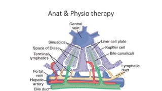 Anat & Physio therapy
 