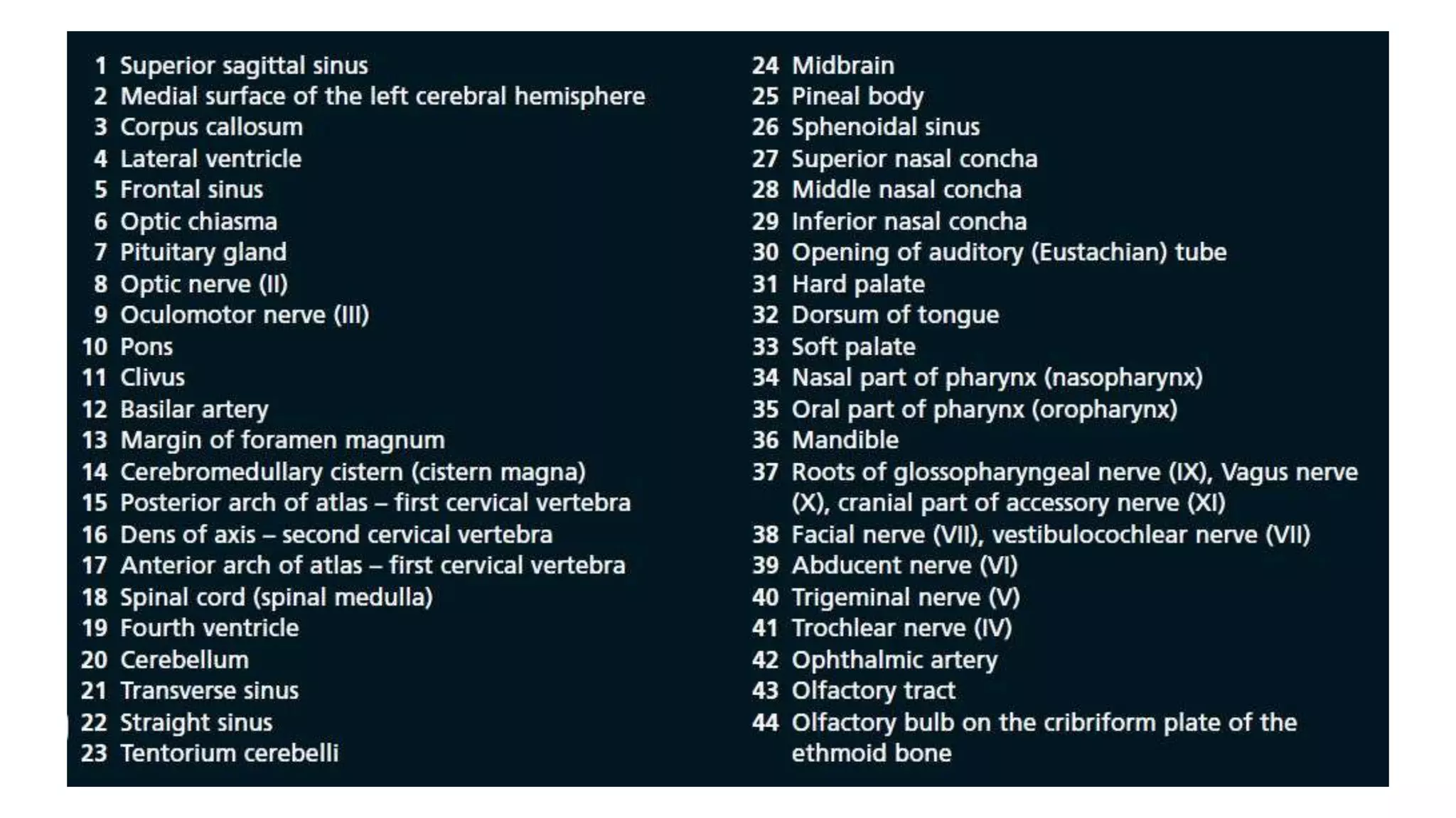 Surgical landmarks and sectional anatomy in neurosurgery | PPTX