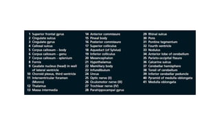Surgical landmarks and sectional anatomy in neurosurgery | PPTX