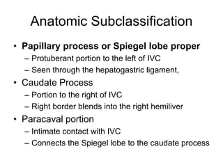 Anatomic Subclassification
• Papillary process or Spiegel lobe proper
– Protuberant portion to the left of IVC
– Seen through the hepatogastric ligament,
• Caudate Process
– Portion to the right of IVC
– Right border blends into the right hemiliver
• Paracaval portion
– Intimate contact with IVC
– Connects the Spiegel lobe to the caudate process
 