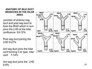 ANATOMY OF BILE DUCT
BRANCHES IN THE HILAR
AREA
Junction of anterior seg
duct and post seg duct to
form the RHD which in turn
joins the LHD at the hilar
confluence 53-72%
Post seg duct joining the
LHD 9-27%
Ant seg duct joins the hilar
conf forming 3 br type hilar
conf 7-14%
Ant seg duct joins the LHD
6-9% 29
 