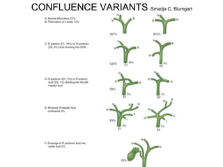 CONFLUENCE VARIANTS Smadja C, Blumgart
 