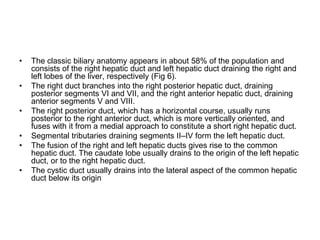 • The classic biliary anatomy appears in about 58% of the population and
consists of the right hepatic duct and left hepatic duct draining the right and
left lobes of the liver, respectively (Fig 6).
• The right duct branches into the right posterior hepatic duct, draining
posterior segments VI and VII, and the right anterior hepatic duct, draining
anterior segments V and VIII.
• The right posterior duct, which has a horizontal course, usually runs
posterior to the right anterior duct, which is more vertically oriented, and
fuses with it from a medial approach to constitute a short right hepatic duct.
• Segmental tributaries draining segments II–IV form the left hepatic duct.
• The fusion of the right and left hepatic ducts gives rise to the common
hepatic duct. The caudate lobe usually drains to the origin of the left hepatic
duct, or to the right hepatic duct.
• The cystic duct usually drains into the lateral aspect of the common hepatic
duct below its origin
 