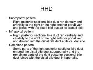 RHD
• Supraportal pattern
– Right posterior sectional bile duct ran dorsally and
cranially to the right or the right anterior portal vein
and joined with the distal bile duct at its cranial side
• Infraportal pattern
– Right posterior sectional bile duct ran ventrally and
caudally to the right or the right anterior portal vein
and drained into the distal bile duct at its caudal side
• Combined pattern
– Some parts of the right posterior sectional bile duct
entered the distal bile duct supraportally and the
remaining parts of the right posterior sectional bile
duct joined with the distal bile duct infraportally.
 