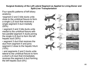 Surgical Anatomy of the Left Lateral Segment as Applied to Living-Donor and
Split-Liver Transplantation
Four specific patterns of left biliary
anatomy:
•segment 2 and 3 bile ducts unite
close to the umbilical fissure to form
a single LLS duct that receives a
single segment 4 duct medially
(55%)
• segment 2 and 3 bile ducts unite
medial to the umbilical fissure with
two parallel segment 4 ducts joining
the single LLS duct to form the left
hepatic duct (30%)
• segment 3 duct that receives the
duct from segment 4 and joins
segment 2 close to the hepatic hilum
(10%)
• and segments 2 and 3 ducts unite
lateral to the umbilical fissure to form
a short LLS duct that immediately
receives the segment 4 duct forming
the left hepatic duct (5%)
44
 
