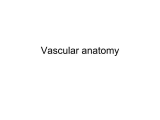 Vascular anatomy
 