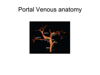 Portal Venous anatomy
 