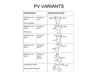 PV VARIANTS
 
