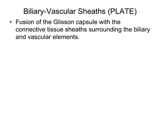 Biliary-Vascular Sheaths (PLATE)
• Fusion of the Glisson capsule with the
connective tissue sheaths surrounding the biliary
and vascular elements.
 