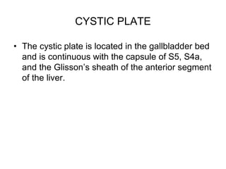 CYSTIC PLATE
• The cystic plate is located in the gallbladder bed
and is continuous with the capsule of S5, S4a,
and the Glisson’s sheath of the anterior segment
of the liver.
 