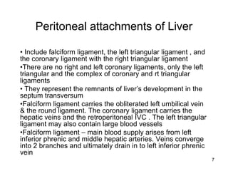 Peritoneal attachments of Liver
• Include falciform ligament, the left triangular ligament , and
the coronary ligament with the right triangular ligament
•There are no right and left coronary ligaments, only the left
triangular and the complex of coronary and rt triangular
ligaments
• They represent the remnants of liver’s development in the
septum transversum
•Falciform ligament carries the obliterated left umbilical vein
& the round ligament. The coronary ligament carries the
hepatic veins and the retroperitoneal IVC . The left triangular
ligament may also contain large blood vessels
•Falciform ligament – main blood supply arises from left
inferior phrenic and middle hepatic arteries. Veins converge
into 2 branches and ultimately drain in to left inferior phrenic
vein
7
 