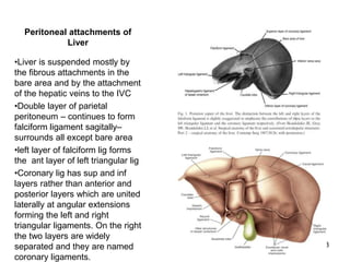 Peritoneal attachments of
Liver
•Liver is suspended mostly by
the fibrous attachments in the
bare area and by the attachment
of the hepatic veins to the IVC
•Double layer of parietal
peritoneum – continues to form
falciform ligament sagitally–
surrounds all except bare area
•left layer of falciform lig forms
the ant layer of left triangular lig
•Coronary lig has sup and inf
layers rather than anterior and
posterior layers which are united
laterally at angular extensions
forming the left and right
triangular ligaments. On the right
the two layers are widely
separated and they are named
coronary ligaments.
8
 
