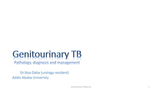 Dr.Ibsa Daba (urology resident)
Addis Ababa Univeristy
Genitourinary TB(Ibsa.D) 1
 