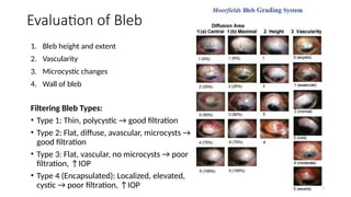 Blebs Types Surgical Management of Glaucoma Dr. Prabhat Devkota,MBBS,MD.pptx