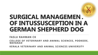 SURGICAL MANAGEMENT
OF INTUSSUSCEPTION IN A
GERMAN SHEPHERD DOG
FASLU RAHMAN CK
COLLEGE OF VETERINARY AND ANIMAL SCIENCES, POOKODE,
WAYANAD
KERAL A VETERINARY AND ANIMAL SCIENCES UNIVERSIT Y
 