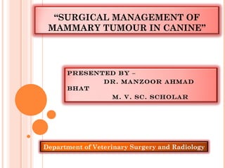 “ SURGICAL MANAGEMENT OF MAMMARY TUMOUR IN CANINE” Presented By –  Dr. Manzoor Ahmad bhat m. v. sc. Scholar  Department of Veterinary Surgery and Radiology 