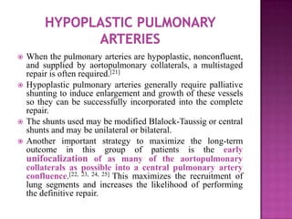  Some centers have shifted toward performing a single-
stage repair, wherein all the multiple aortopulmonary
collaterals ...
