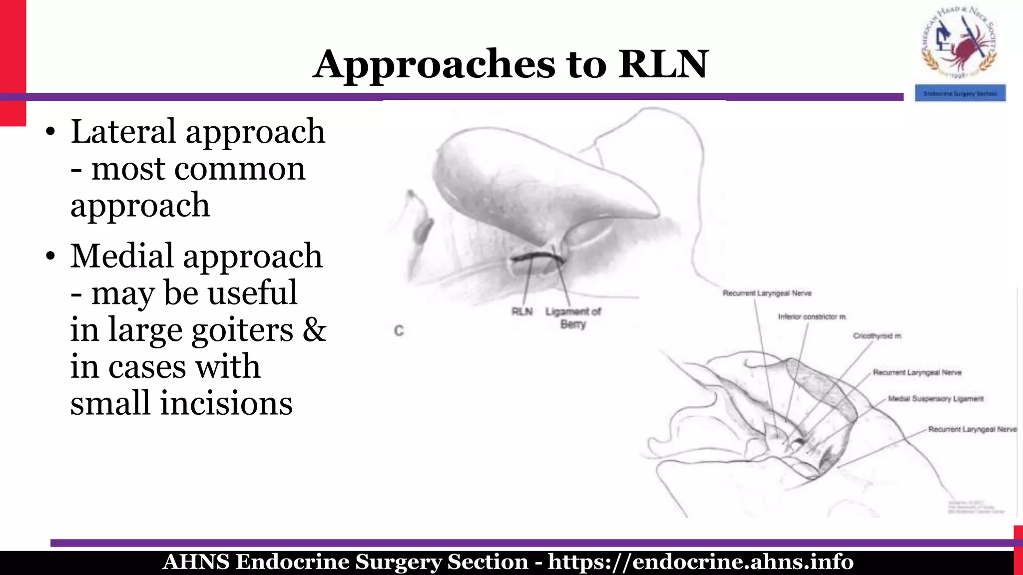 Surgical management of the recurrent laryngeal nerve in thyroidectomy ...