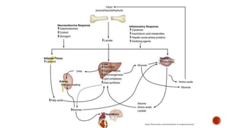 https://thoracickey.com/metabolism-in-surgical-patients/
 