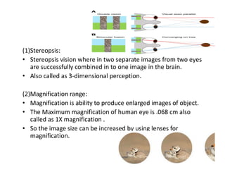 Surgical operationg microscope