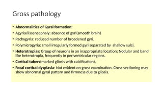 Surgical Pathology of Epilepsy.pptxpatho | PPTX