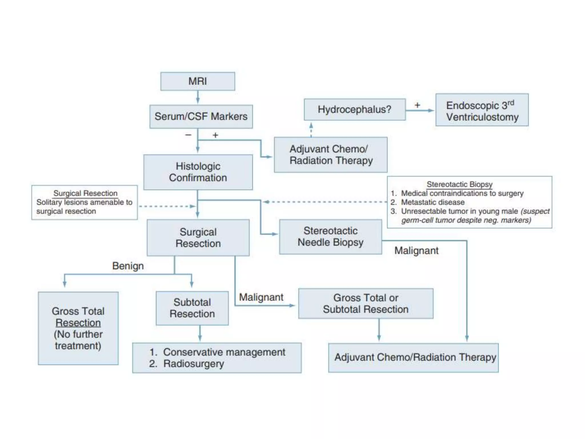 surgical-pineal-region-tumors-pptx