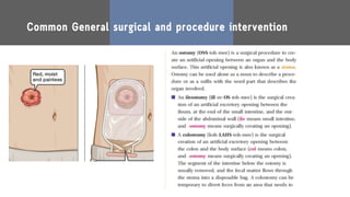 Surgical procedures & most used Sets.pdf