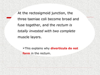 At the rectosigmoid junction, the
three taeniae coli become broad and
fuse together, and the rectum is
totally invested with two complete
muscle layers.
This explains why diverticula do not
form in the rectum.
 