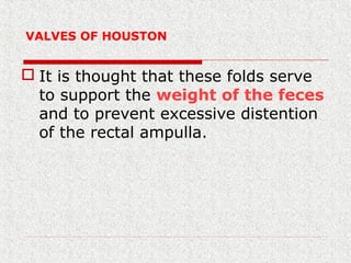 VALVES OF HOUSTON
 It is thought that these folds serve
to support the weight of the feces
and to prevent excessive distention
of the rectal ampulla.
 