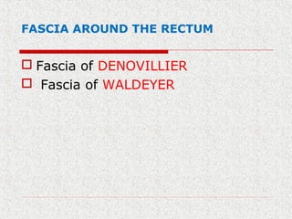 FASCIA AROUND THE RECTUM
 Fascia of DENOVILLIER
 Fascia of WALDEYER
 