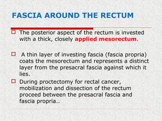 FASCIA AROUND THE RECTUM
 The posterior aspect of the rectum is invested
with a thick, closely applied mesorectum.
 A thin layer of investing fascia (fascia propria)
coats the mesorectum and represents a distinct
layer from the presacral fascia against which it
lies.
 During proctectomy for rectal cancer,
mobilization and dissection of the rectum
proceed between the presacral fascia and
fascia propria..
 