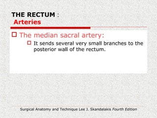 :THE RECTUM
Arteries
 The median sacral artery:
 It sends several very small branches to the
posterior wall of the rectum.
Surgical Anatomy and Technique Lee J. Skandalakis Fourth Edition
 