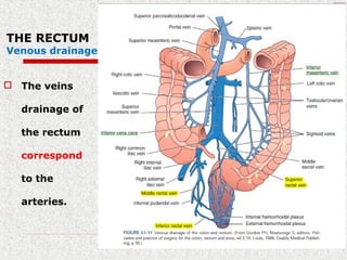 THE RECTUM
Venous drainage
 The veins
drainage of
the rectum
correspond
to the
arteries.
 