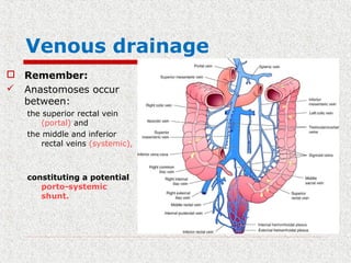 Venous drainage
 Remember:
 Anastomoses occur
between:
the superior rectal vein
(portal) and
the middle and inferior
rectal veins (systemic),
constituting a potential
porto-systemic
shunt.
 