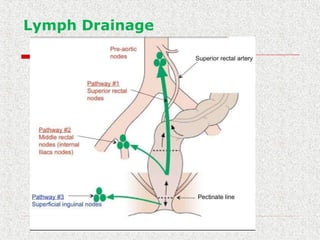Lymph Drainage
 