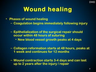 Wound healing
• Phases of wound healing
– Coagulation begins immediately following injury
– Epithelialization of the surgical repair should
occur within 48 hours of suturing
• New blood vessel growth peaks at 4 days
– Collagen reformation starts at 48 hours, peaks at
1 week and continues for 12 months
– Wound contraction starts 3-4 days and can last
up to 2 years after the injury / repair
8
DWD
 