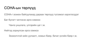 СОНА-ын төрлүүд
СОНА-г зохион байгуулахад дараах төрлүүд түгээмэл хэрэглэгддэг
Баг бүлэгт чиглэсэн арга хэмжээ
Чанга уншлага, үлгэрийн цаг г.м.
Нийтэд зориулсан арга хэмжээ
Зохиолчтой хийх уулзалт, номын баяр, бичиг үсгийн баяр г.м.
 